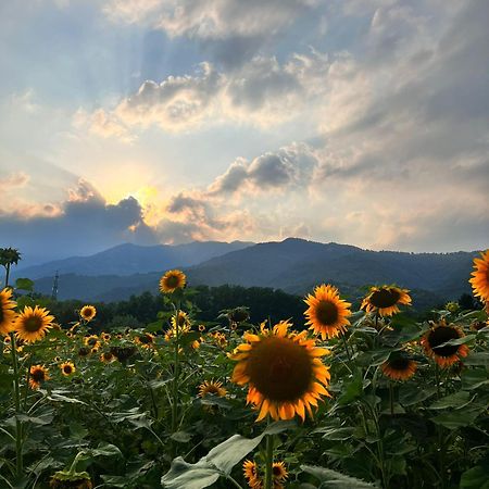 Locanda Alla Posta Cavaso Del Tomba ภายนอก รูปภาพ